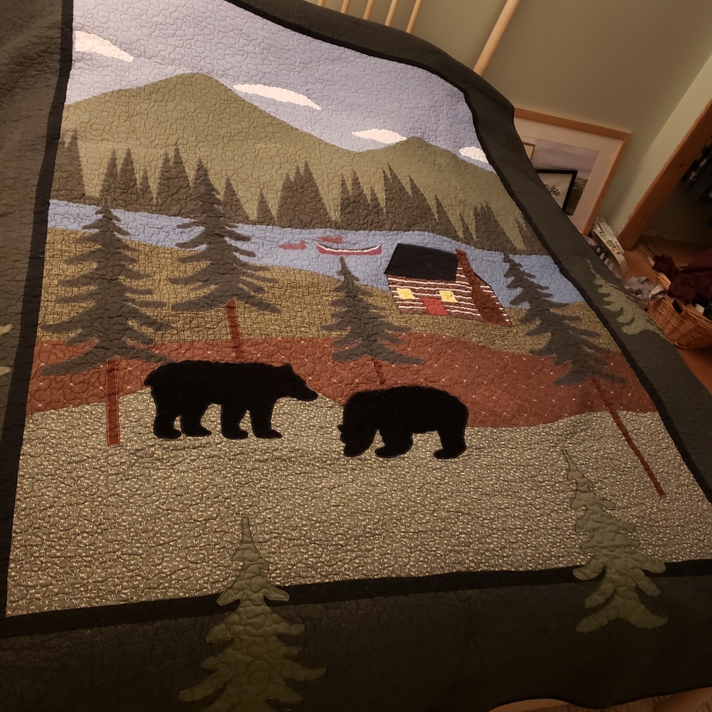 Donna Sharp Cotton Wayfair Quilt
